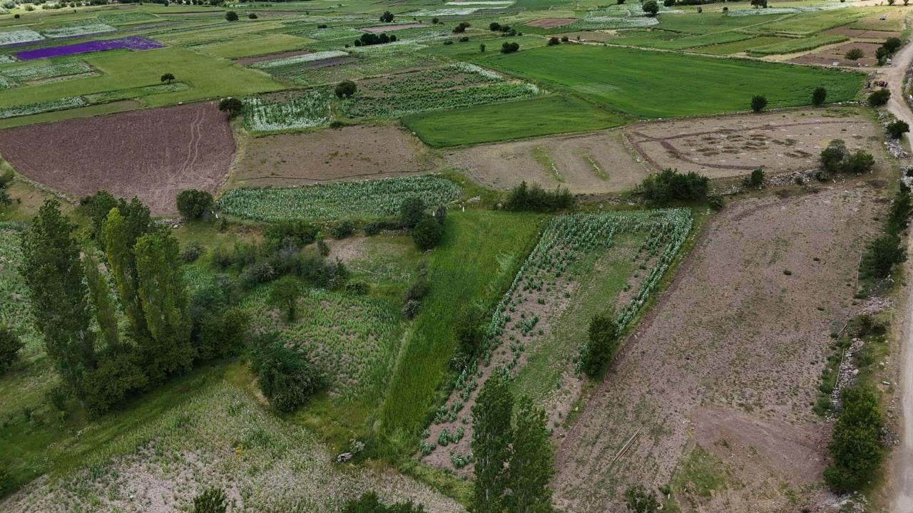 AFYON / HOCALAR / ÇEPNİ SATILIK ARAZİ