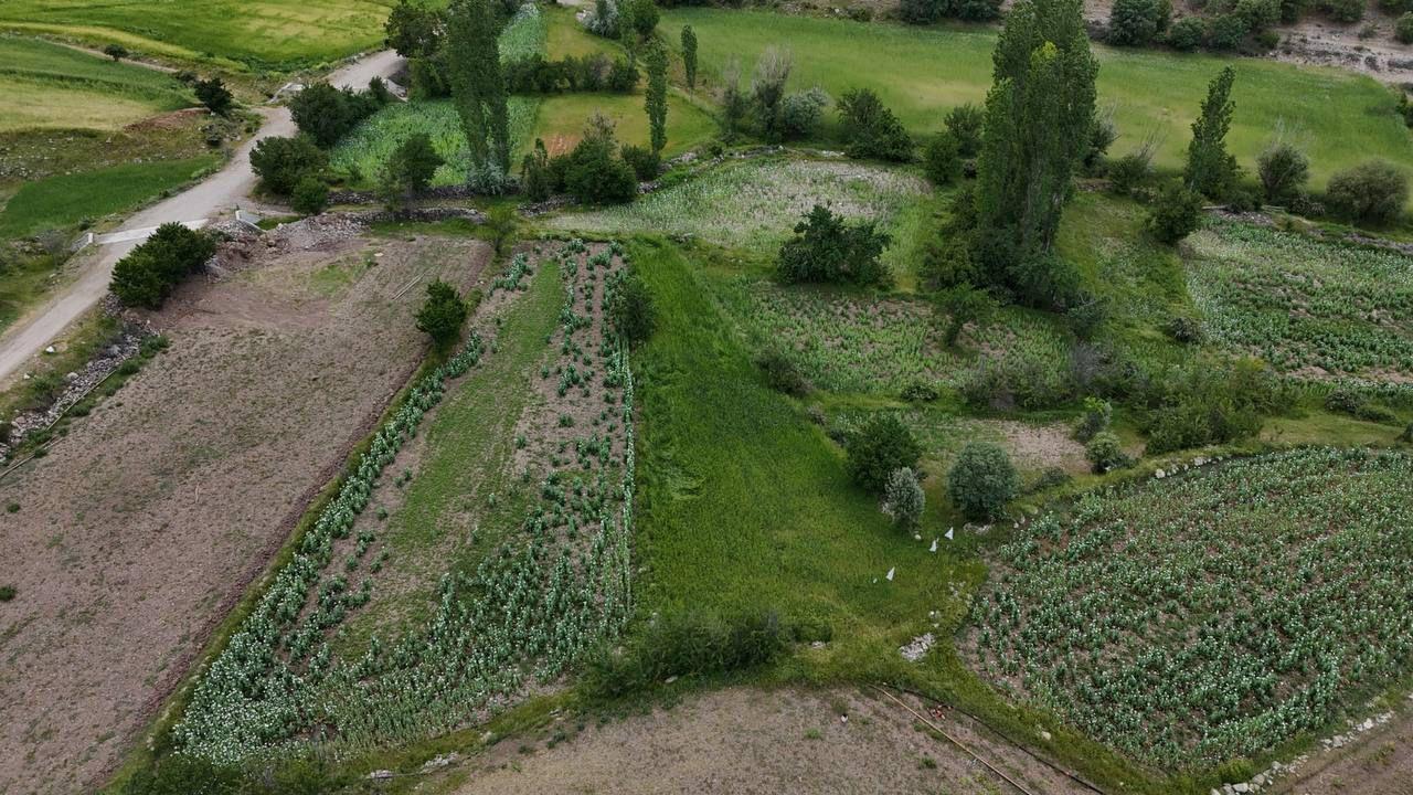 AFYON / HOCALAR / ÇEPNİ SATILIK ARAZİ