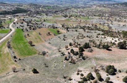 KÜTAHYA / HİSARCIK / ŞEYHLER