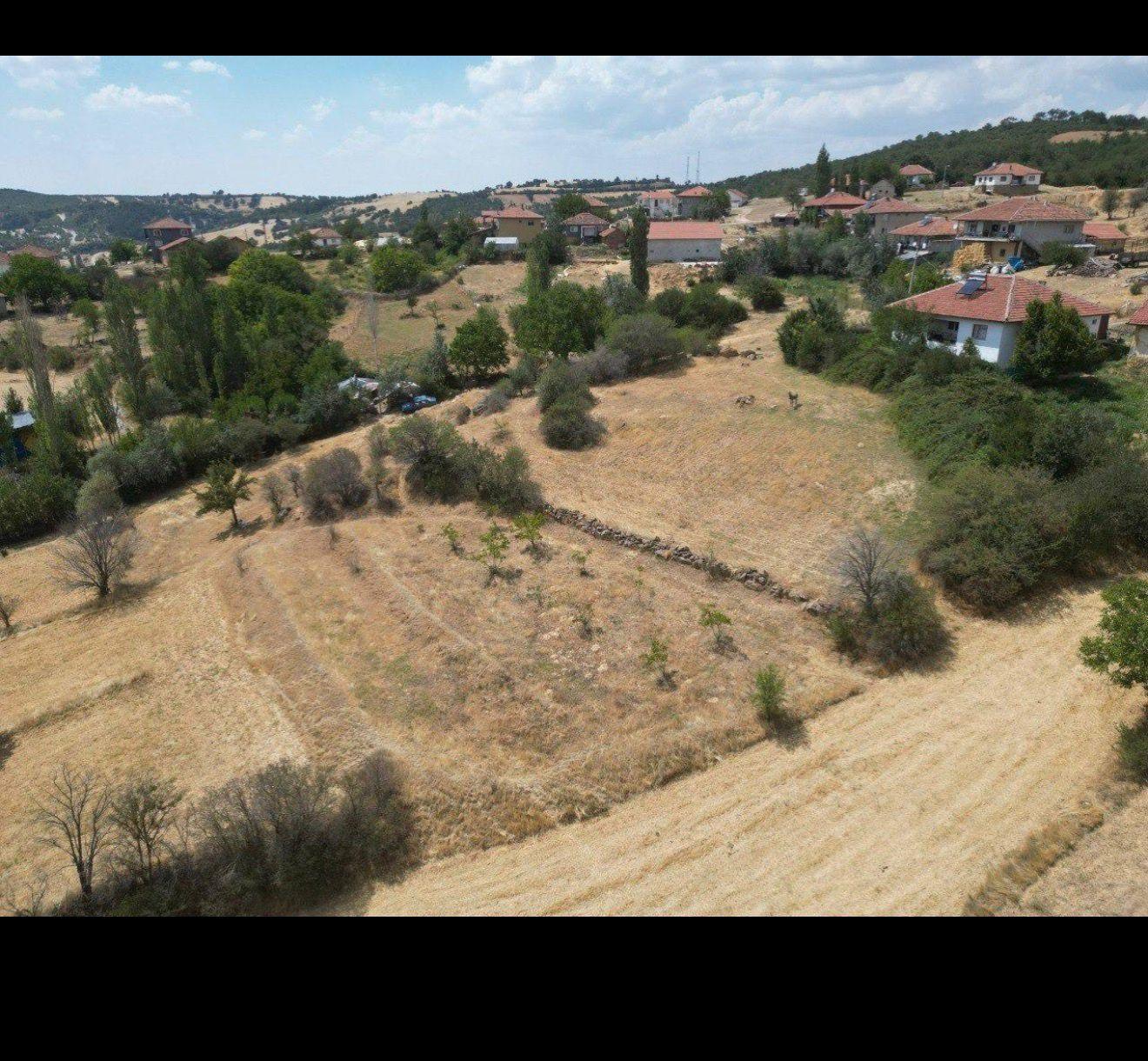 UŞAK / BANAZ / YENİCE SATILIK ARAZİ