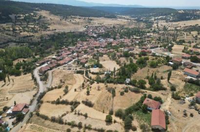 UŞAK / BANAZ / YENİCE SATILIK ARAZİ